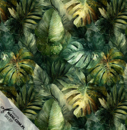 Monstera